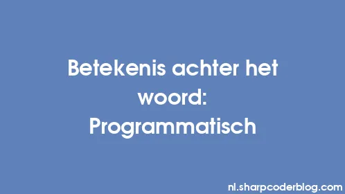 Betekenis achter het woord: Programmatisch - Thumbnail