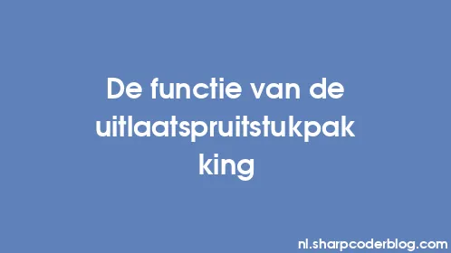 De functie van de uitlaatspruitstukpakking - Thumbnail