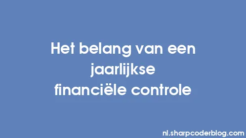 Het belang van een jaarlijkse financiële controle - Thumbnail